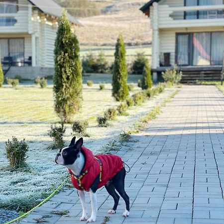 Hotel Чотири Сезони Izky Exterior foto